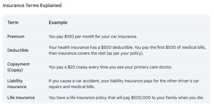 Table showing common insurance terms with simple examples. Terms include premium, deductible, copay, liability insurance, and life insurance.